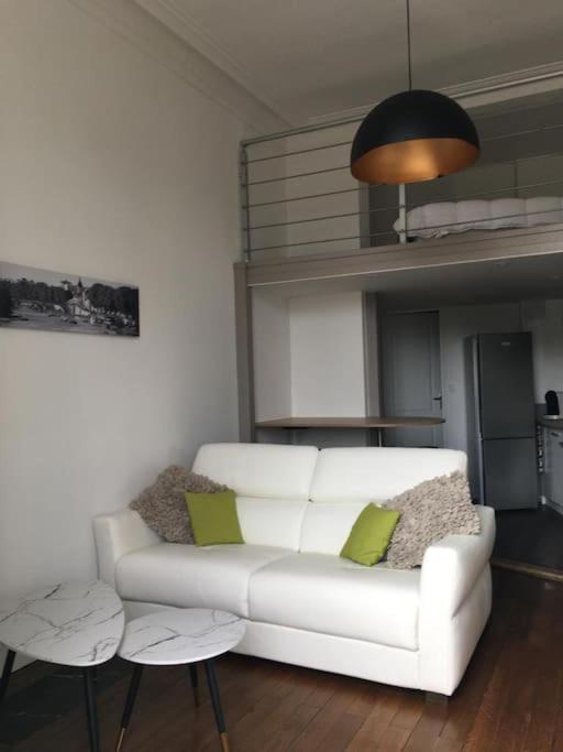 Hyper Centre Orleans : Appartement De Charme Extérieur photo